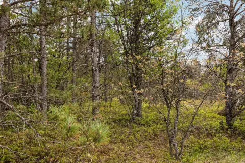 Lewiston Land Near State Land