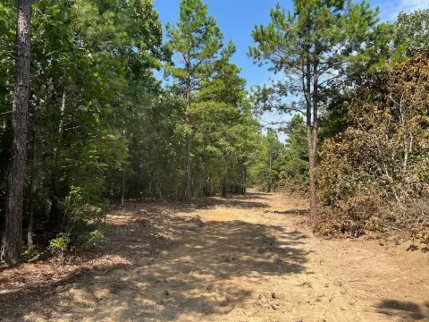 20 Acres of Vacant Land