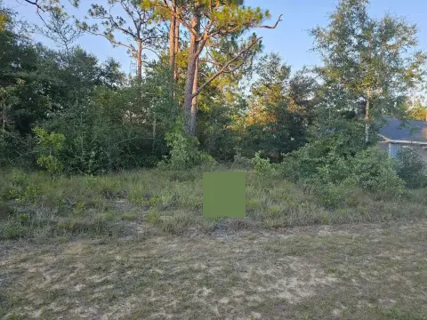 Residential Lot in Sunny Hills