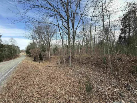 Hunting/Recreational Land in Pike County