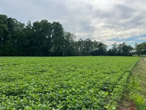 Waterfront Land on Bullbeggar Creek