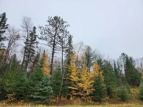 Ogema, WI Lots For Sale