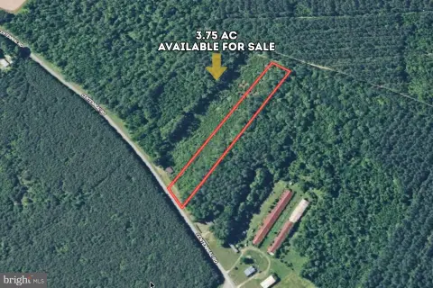 Wooded Farmland Parcel with Road Frontage