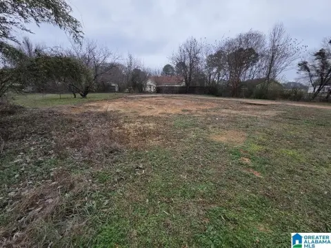 Cleared Lot in Jasper, AL