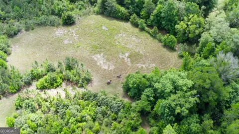 200 Acre Sportsman's Retreat