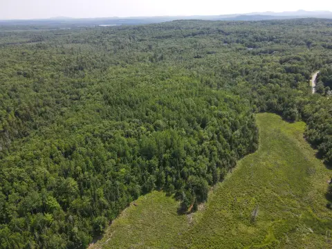 Agricultural Land with Road Frontage