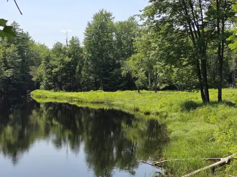 Wooded Riverfront Recreational Land
