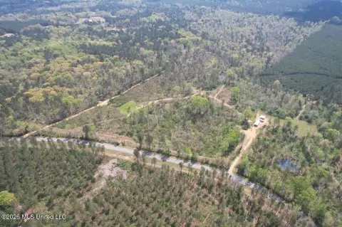 Hunting Land Near Homochitto Forest