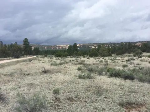 Land in Timberlake Ranch