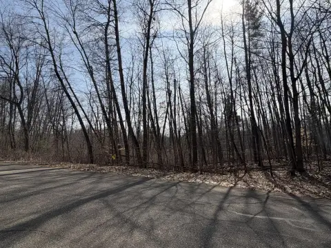 Buildable Wooded Parcel with Creek