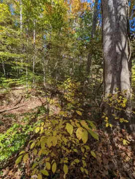 Land in Lakefront Clarksville, VA