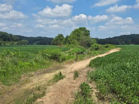 Hunting Land with Ponds