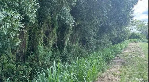 Vacant Industrial Land For Sale