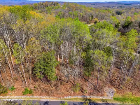 Wooded Lot with Lake Views