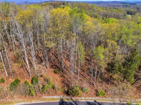 Wooded Lot with Lake Views