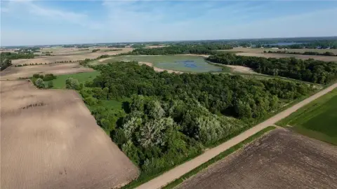 Wooded Hunting Acreage with Pond