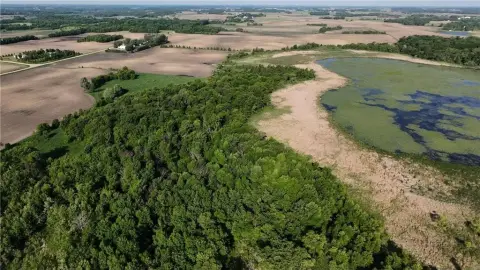 Heavily Wooded Recreational Land Parcel