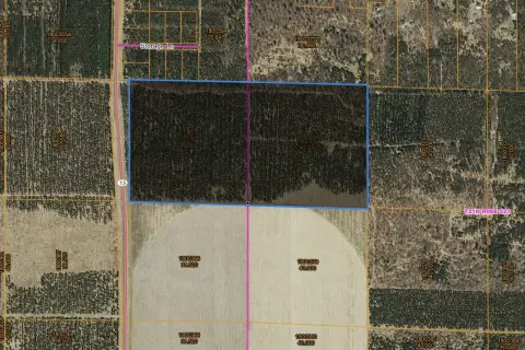 80 Acres Wooded Land For Sale