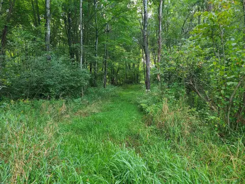 Wooded Acreage Near Athens, WI