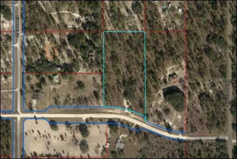 Levy County Wooded Land Parcel