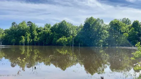 Rankin County Land Opportunity