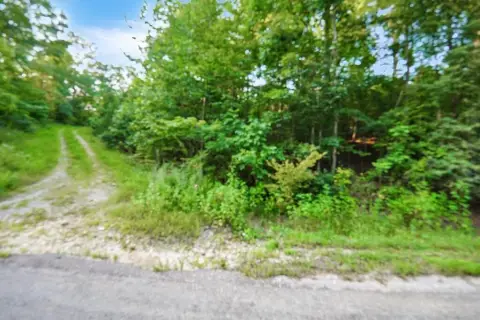 Wooded Land with County Road Frontage