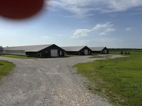 Automated Poultry Farm