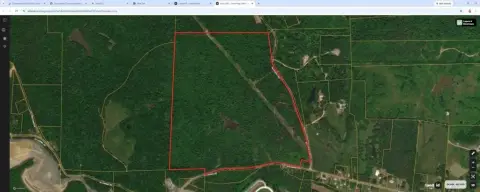Recreational Hunting Land
