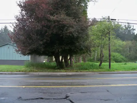 Commercial Land on Elk Valley