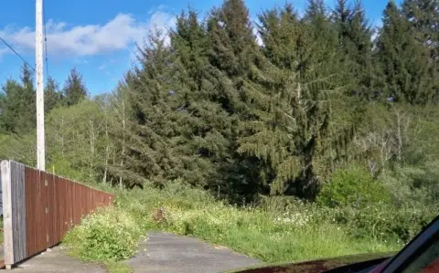 Residential Lot in Crescent City