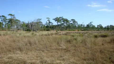 Recreational Land in River Ranch