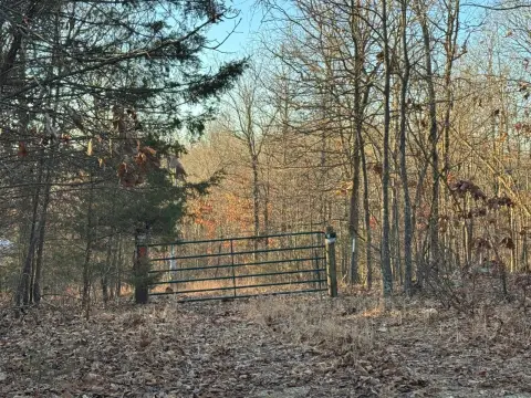 Wooded Recreational Land Tract