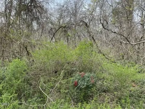 Randleman Land with Potential