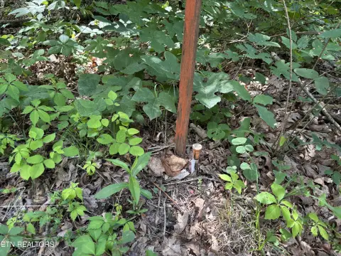 Unrestricted Residential Lot