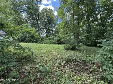 Partially Cleared Waterfront Lot