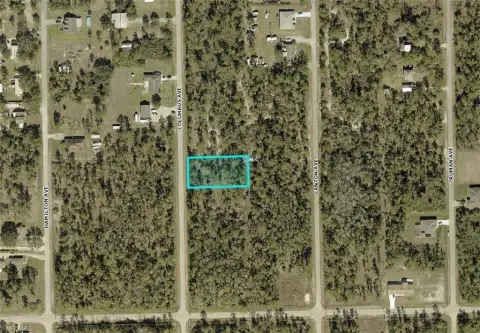 Oversized Lot in Alva, FL