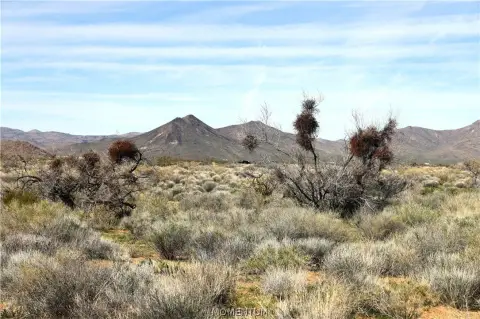 Corner Desert Land