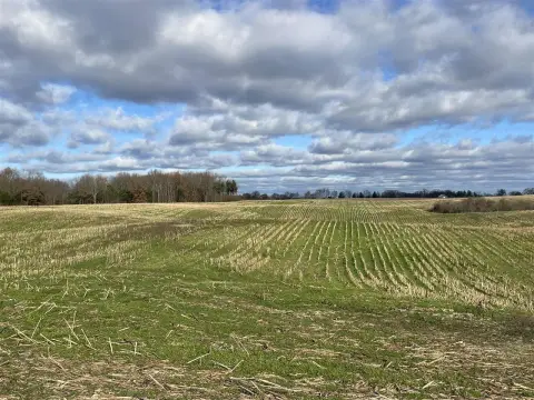 Agricultural Farmland with Woodlands