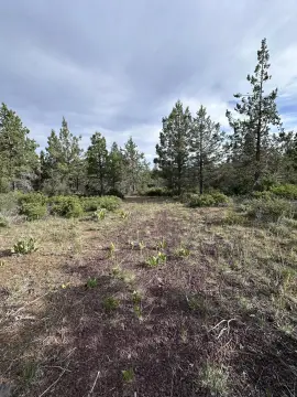 Residential Land in Bonanza, Oregon