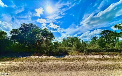 Lehigh Acres Half Acre Land