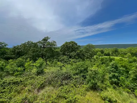 Hunting Land with Pond