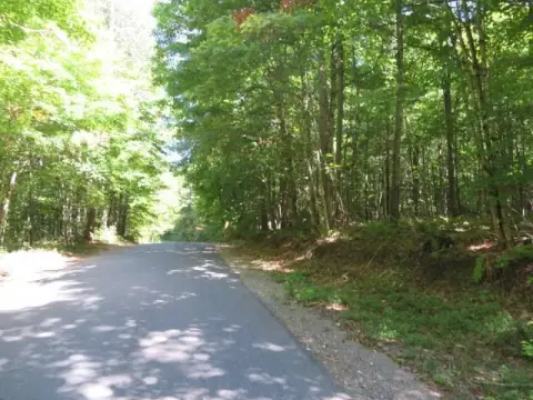 Wooded Hunting Land