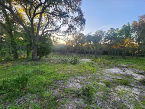 Agricultural Land in Bronson, FL