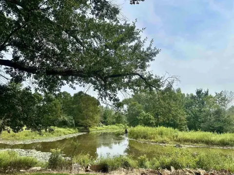 Waterfront Land with Utilities