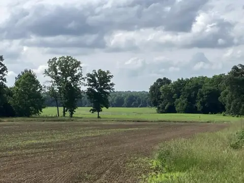 Agricultural Land with Road Frontage