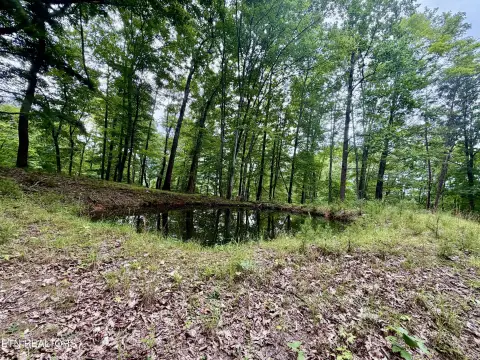 Mountain View Recreational Land
