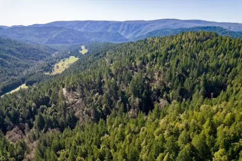 Off-Grid Forested Land Opportunity