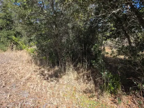 Vacant Land in Lake Placid