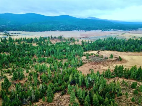Recreational Land Near Blackfoot River