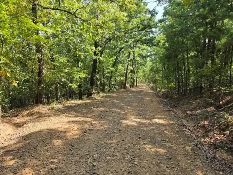 Mountain Hunting Land